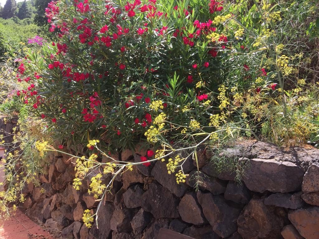 Finca Madrugada Santa Cruz de la Palma  Eksteriør billede
