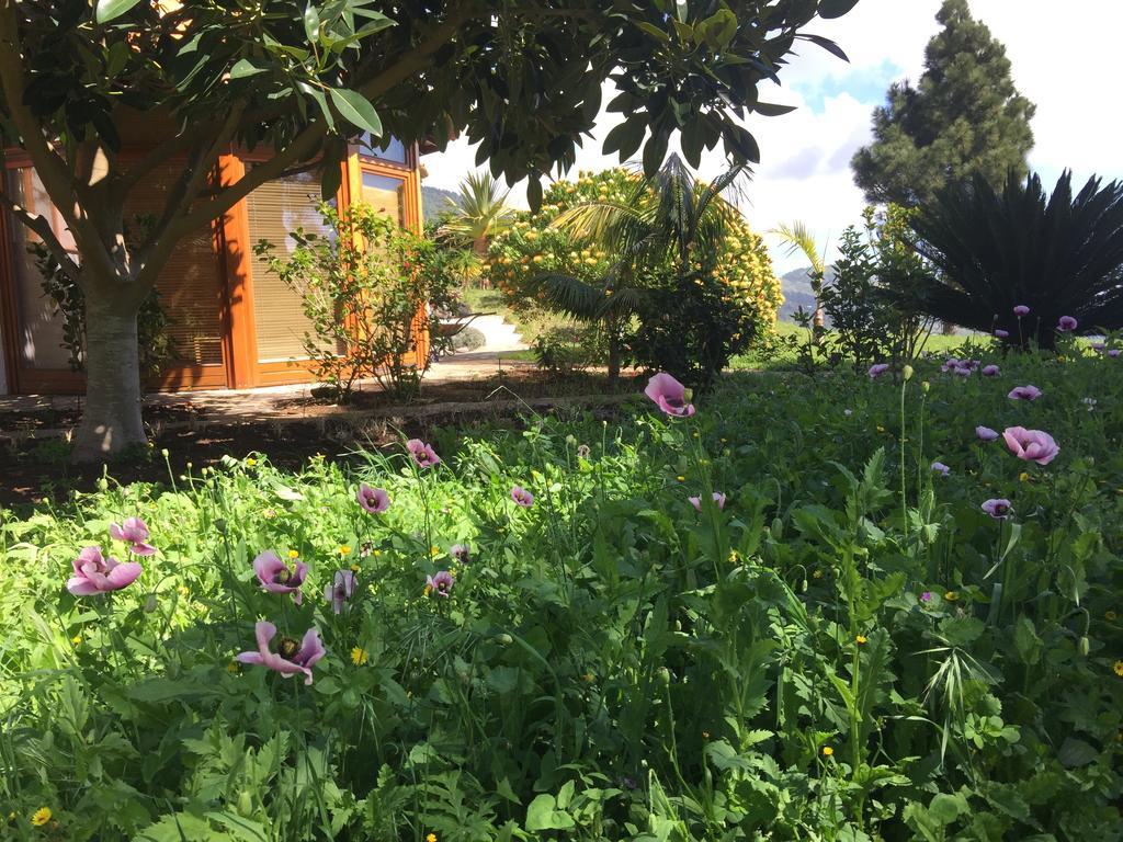 Finca Madrugada Santa Cruz de la Palma  Eksteriør billede